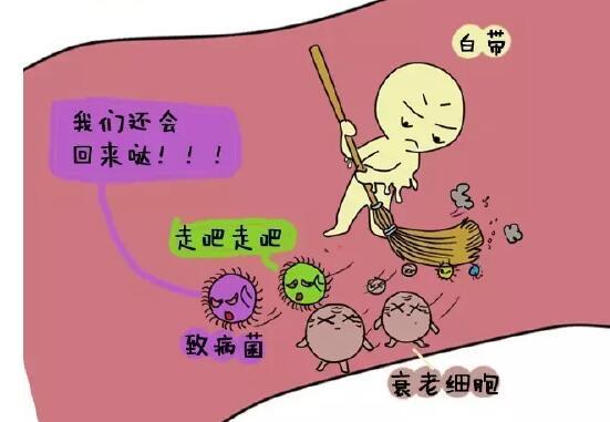 2__私密科普｜女性阴道小秘密，98%的人都还不知道！.jpg