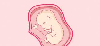 关于女性健康的七大谣言，你是不是也踩坑了？